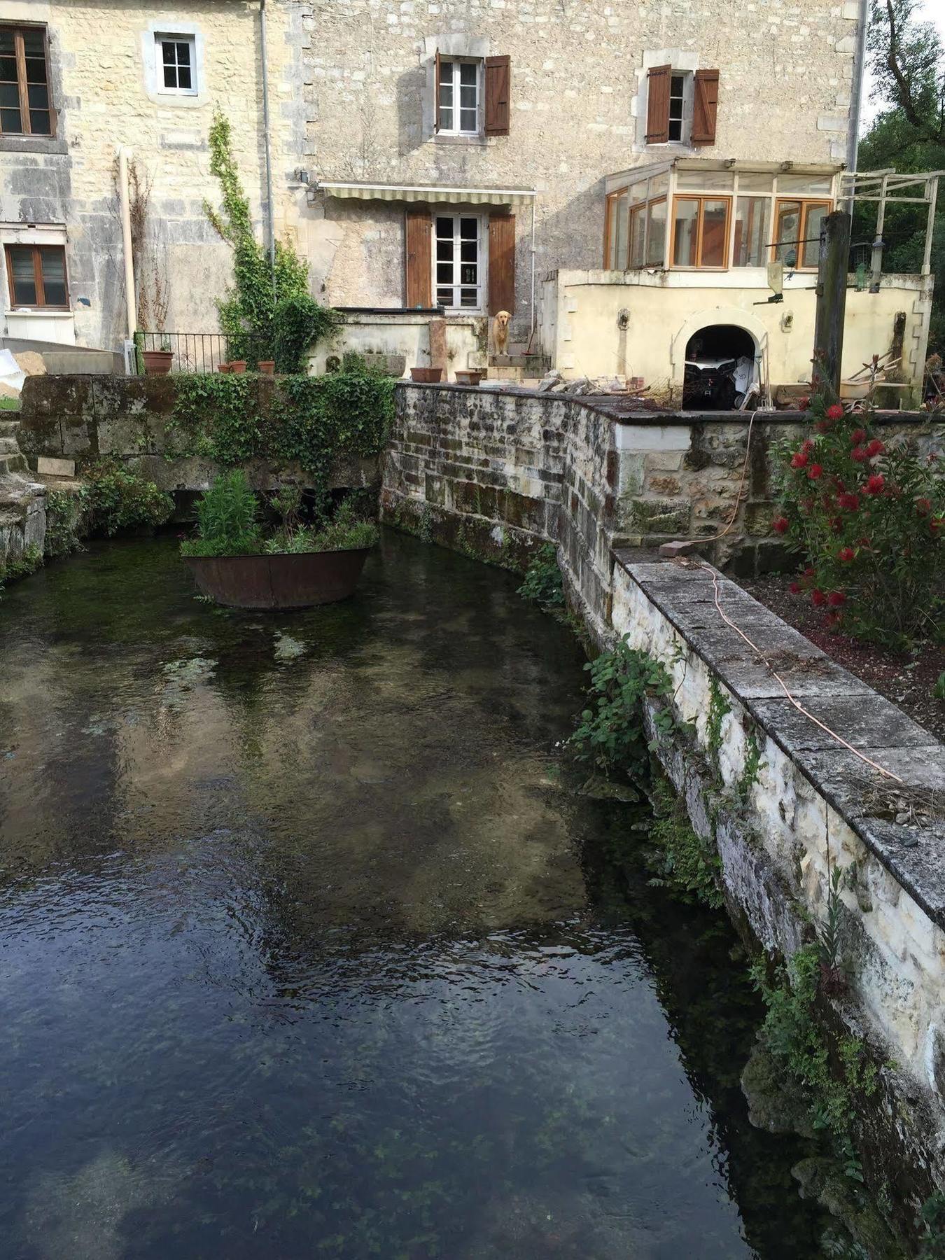 Petit Moulin De Veillard Villa Bourg-Charente Kültér fotó